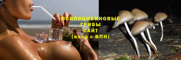 МДПВ Навашино