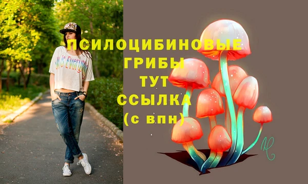 прущие крисы Надым