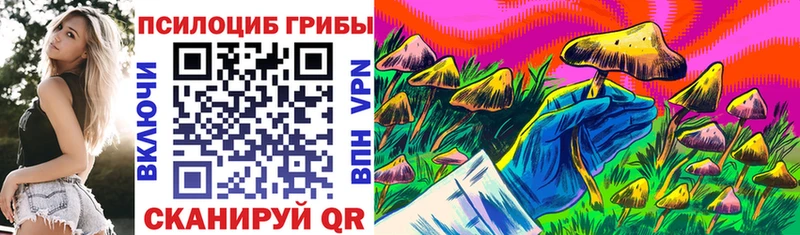 Псилоцибиновые грибы мухоморы  где продают   Светогорск 